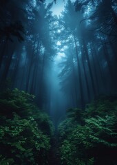 Fototapeta premium Majestic redwoods in a misty forest, depicting grandeur and strength. 