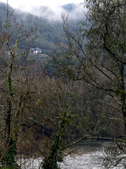 Secluded House Shrouded by Misty Forest