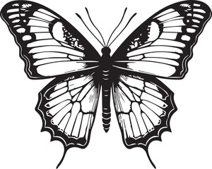 Black and white butterfly vector illustration 