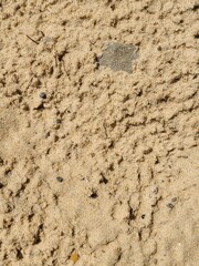 Sand Texture background. Sandy background with copy space. Template  Summer backdrop for social media and website banners posters flyer. 