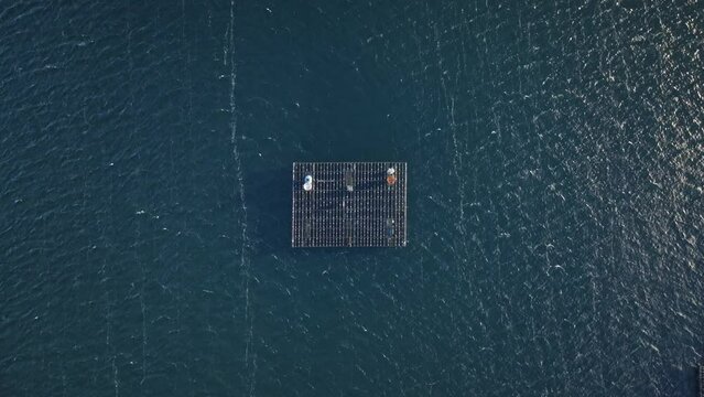 Piscifactorias en Galicia a vista de drone