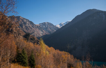 Fototapeta premium Beautiful autumn afternoon in mountains. Trees on the edge of a hill in fall colors. Wonderful countryside on a sunny weather in evening.