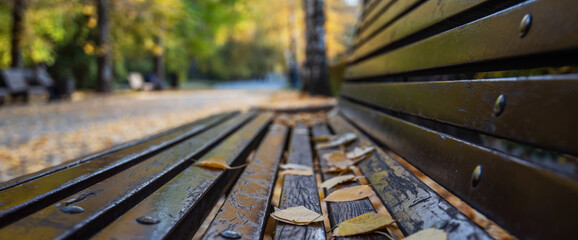 Fall background. Autumn in the park. Yellow leaves on the bench close-up. Autumn leaves on wood planks bench over outdoor natural background.