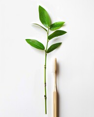 Fototapeta premium Environmentally friendly bamboo toothbrush