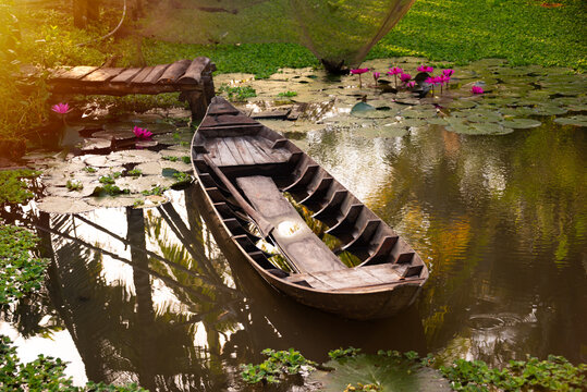 Old wooden rowing boat in pond with green plants