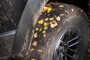 Close-up of a car wheel with leaves on wheels on wet off-road in autumn. Autumn leaves under the wheels of a car on the grass.