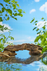 Tropical forest theme photo for natural product advertising with the rock shaped like a bridge across a clear lake, decorated with various types of forest tree. Empty space for showing product