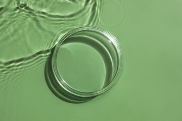 Stylish presentation for product. Glass podium in water on pale green background, top view