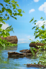 The promotional photo in the forest was taken from the front, with a clear lake and a few bare rocks protruding from the water. Blank pedestal for product displaying, copy space