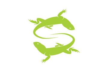 green lizard on white background