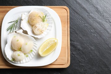 Raw scallops with green onion, rosemary and lemon on dark textured table, top view. Space for text