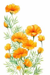 Obraz premium marigold themed frame or border for photos . with orange and yellow blooms. watercolor illustration, white color background. Botanical border for wallpaper or wrapping.
