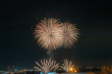 日本の芸術的な花火