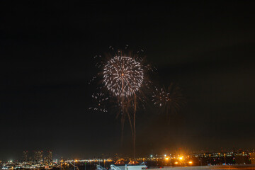 日本の芸術的な花火