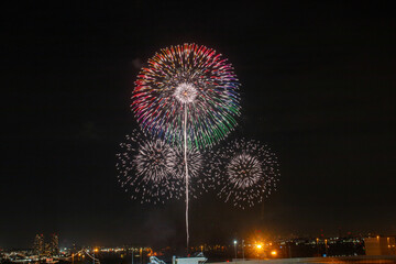 日本の芸術的な花火