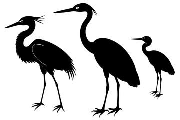 black heron vector silhouette illustration