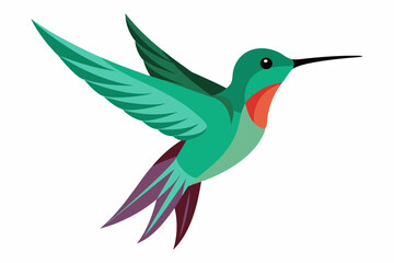 humming bird vector illustration