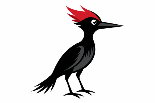 recommend clip art: woodpecker bird logo vector illustration