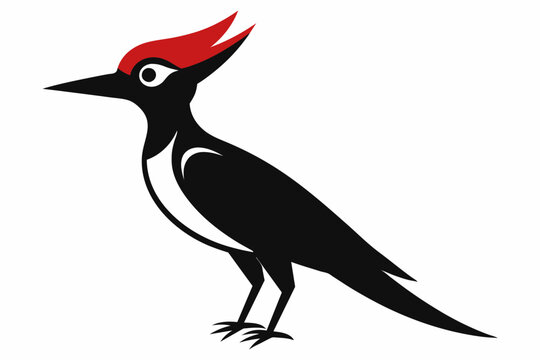 recommend clip art: woodpecker bird logo vector illustration