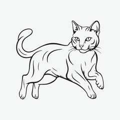 Obraz premium Print Stunning Cat Line Art Vector Designs for Creative Projects