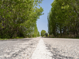 Asphalt road, close up low view image of asphalt road with green trees on both sides of the country side city road. Summer forest colors with blue sky in background. White line in the middle.