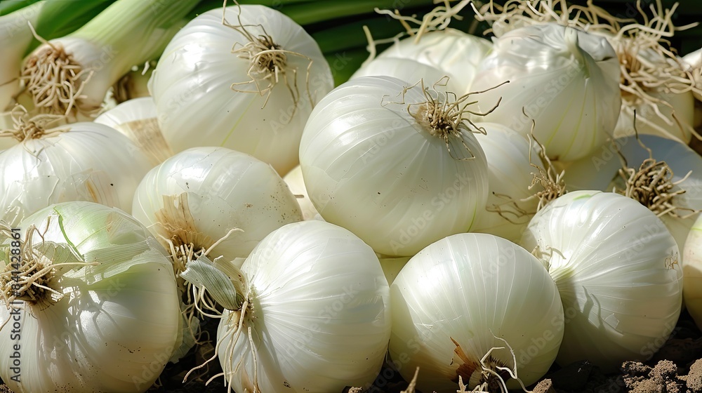 Poster onion bulbs white background. generative ai