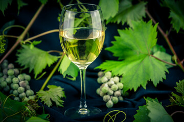 Weinglas mit Weintrauben auf Olivenholz