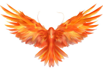 Obraz premium orange wings isolated on transparent background