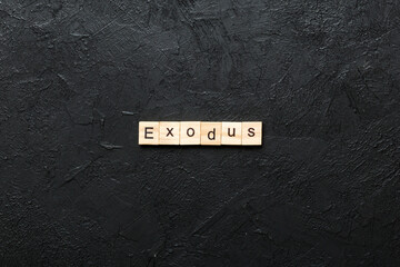 exodus word written on wood block. exodus text on table, concept