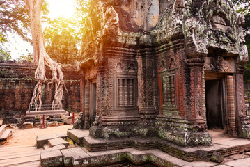 Fototapeta premium Angkor Thom, ancient temple ruins in Cambodia jungle with tree roots