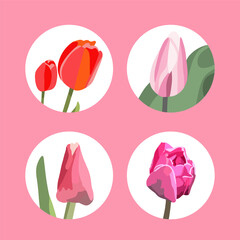 Vector isolated illustration of a set of tulips. Tulips icons.