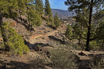 Hiking track Merendero del Algarrobero at San Bartolome de Tirajana on Gran Canaria,Canary Islands,Spain,Europe
