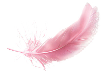 pink feather isolated on transparent background © Tohamina