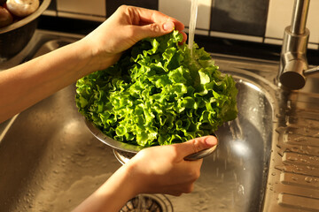 Woman washing fresh lettuce leaves in metal colander, closeup