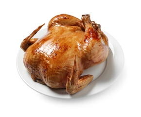 One tasty roasted chicken isolated on white