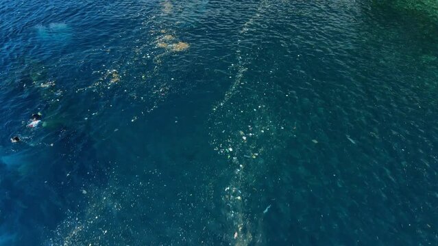 People swimming in ocean with plastic pollution in Bali. Ecology problems in Bali