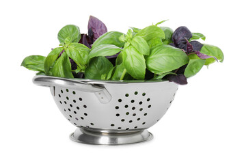 Metal colander with fresh basil leaves isolated on white