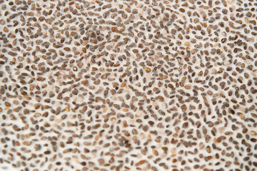 Top view of Chia seeds that have swelled after soaking in water isolated on a white background. many nutrients Contains omega-3, protein, fiber and vitamin. texture surface.