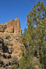Rock formation at Roque Nublo on Gran Canaria,Canary Islands,Spain,Europe
