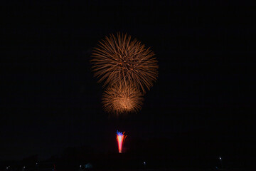 日本の春の芸術的花火
