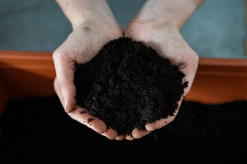 Hands Holding Rich Organic Soil