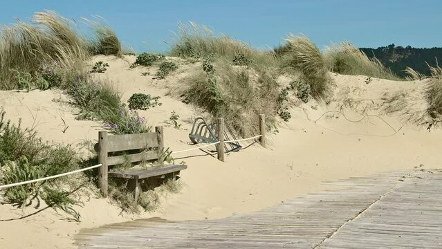 Bank and dunes. Promenade of the dune complex of A Lanzada beach, in the municipality of O Grove (Pontevedra, Galicia, Spain). This space is a protected area due to its environmental importance