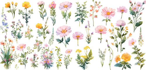 wildflower clipart vector for graphic resources	