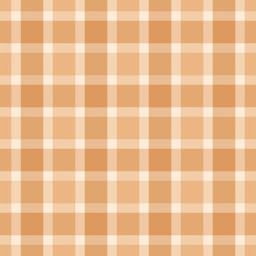 Autumn and falls color design plaid pattern 