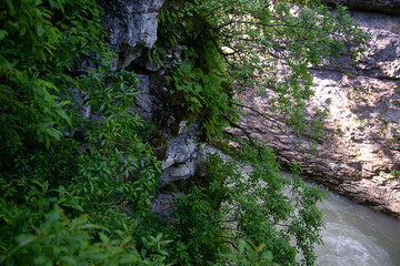 Early morning. Mountain river after rain.