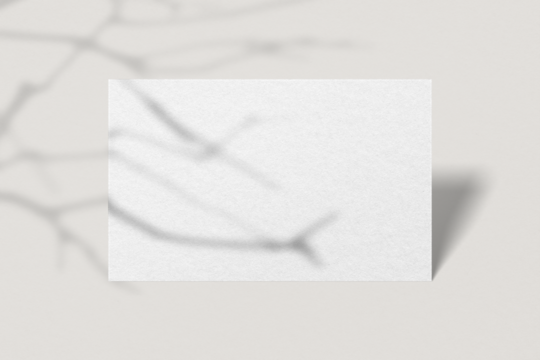 Png business card mockup on shadow background