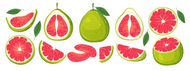 Set of red pomelo.Fresh tropical fruit whole,cut in half,pomelo slices.Vector illustration.