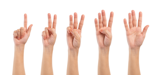 Female hand showing one to five fingers countdown isolated on white background, clipping path.