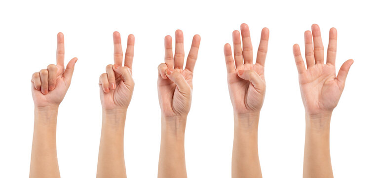 Female hand showing one to five fingers countdown isolated on white background, clipping path.