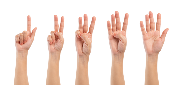 Female hand showing one to five fingers countdown isolated on white background, clipping path.